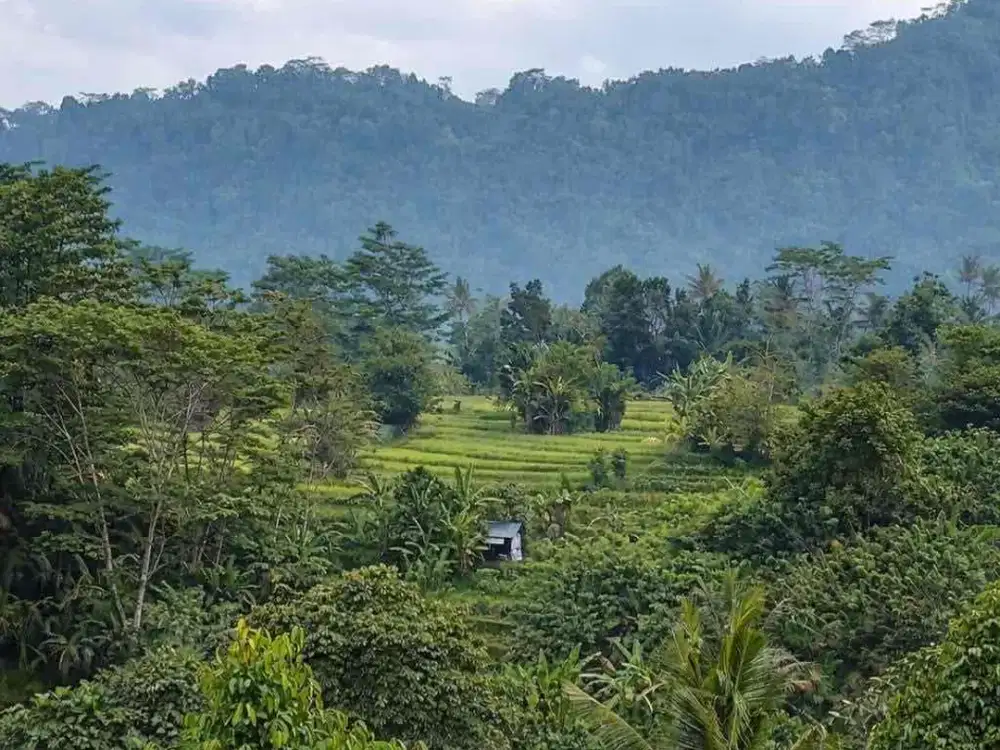jual tanah sidemen Karangasem