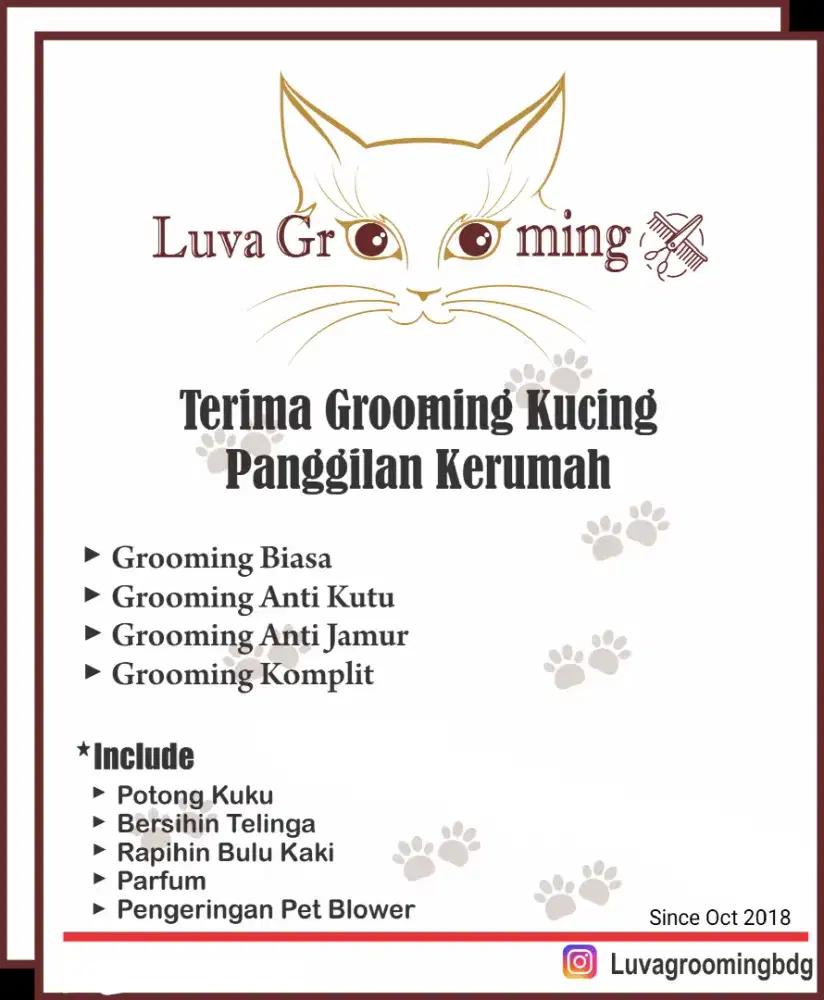 Grooming kucing panggilan