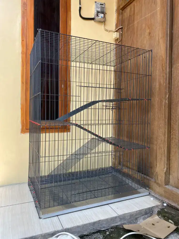 Joss Jiss Kandang Kucing Galvanis Pria Solo