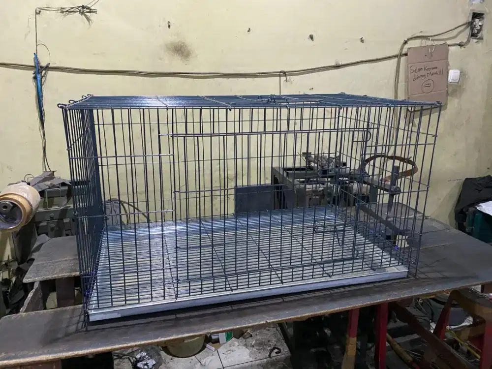 Sak Joss e Kandang Kucing Galvanis nya