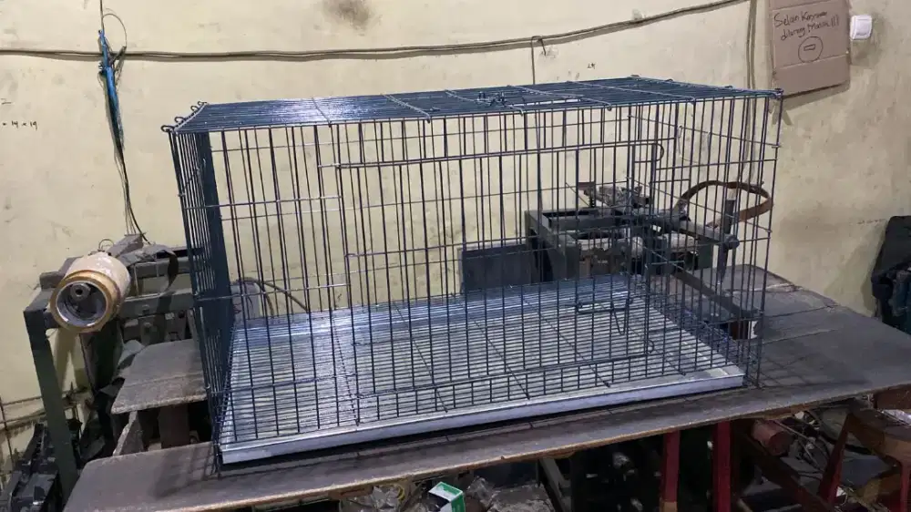 Pria Solo Sak Josse Kandang Kucing