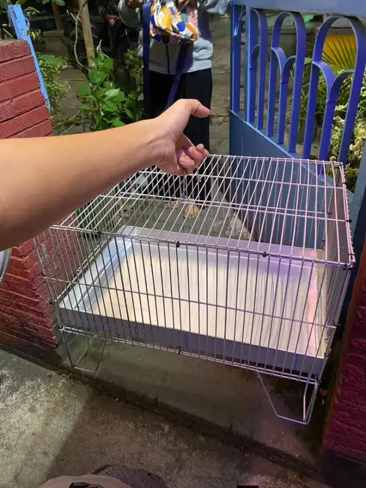 Karamba Mandi Burung Jogja Joss Jias