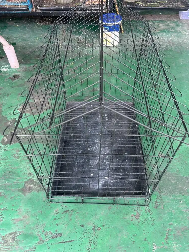 Kandang kotak lipat