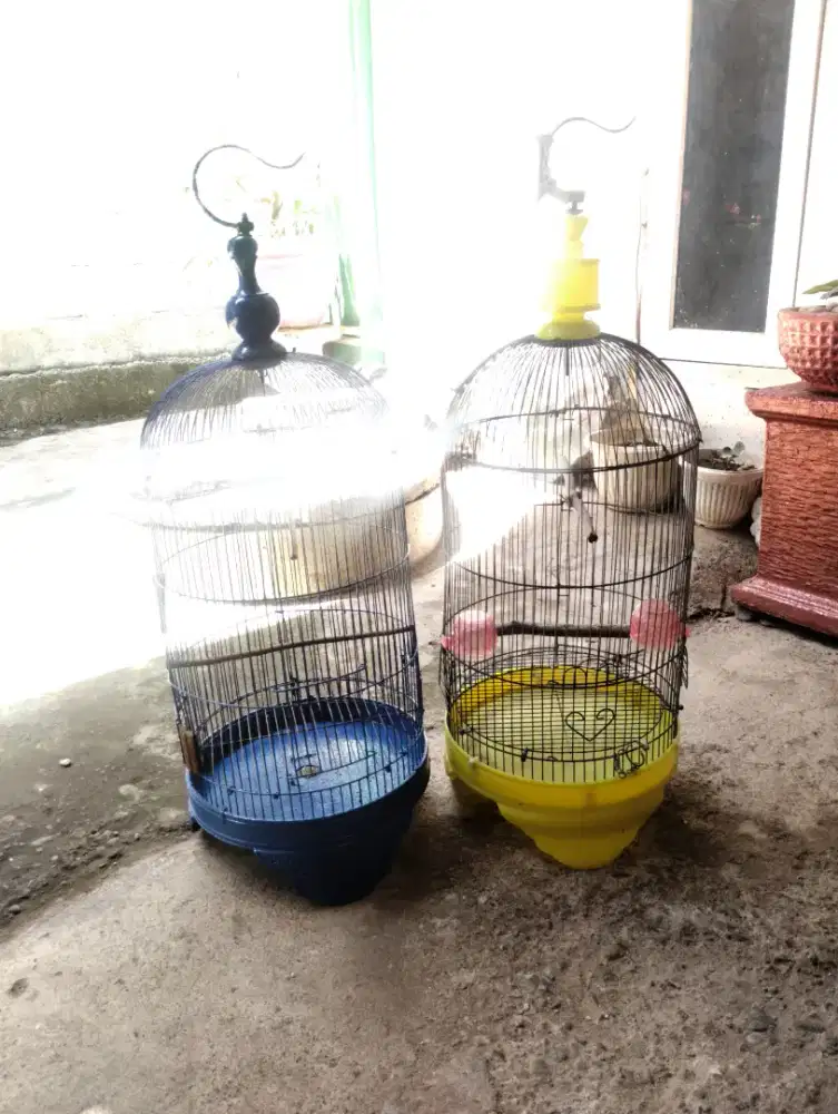 Sangkar burung besi