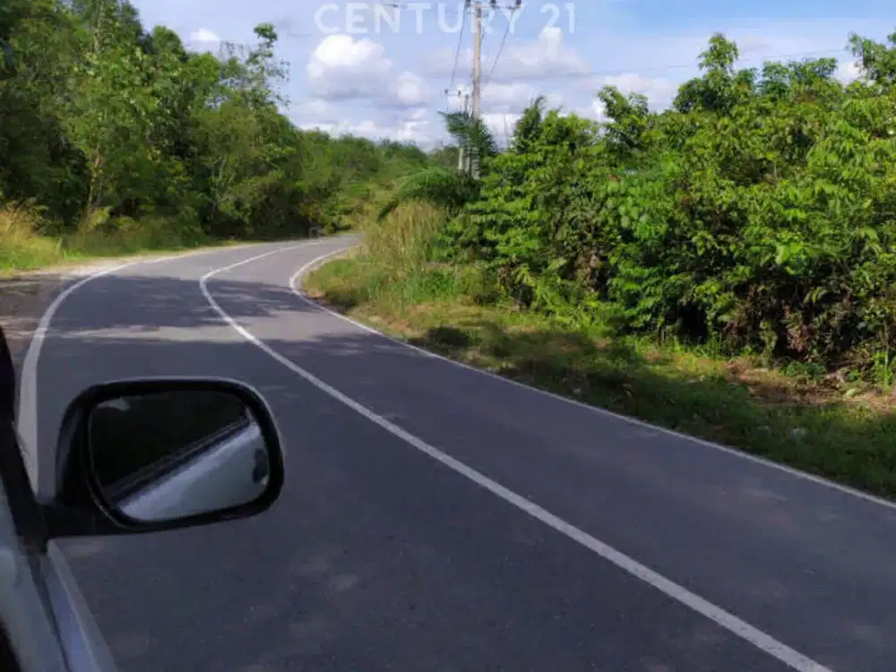 Investasi Emas 6,4 Ha Pinggir Jalan Raya Provinsi IKN Tenggarong