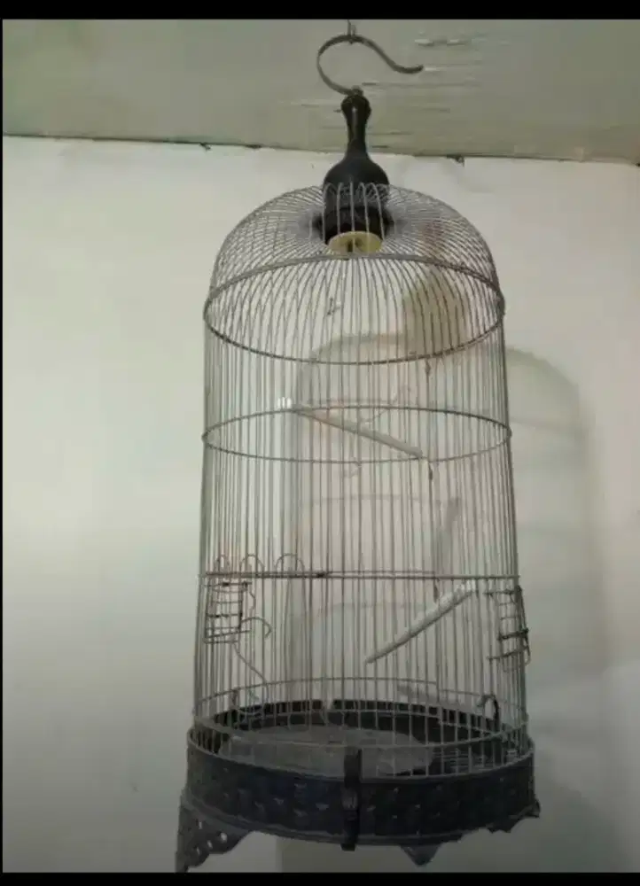 Kandang Burung Lovebird Besi Second