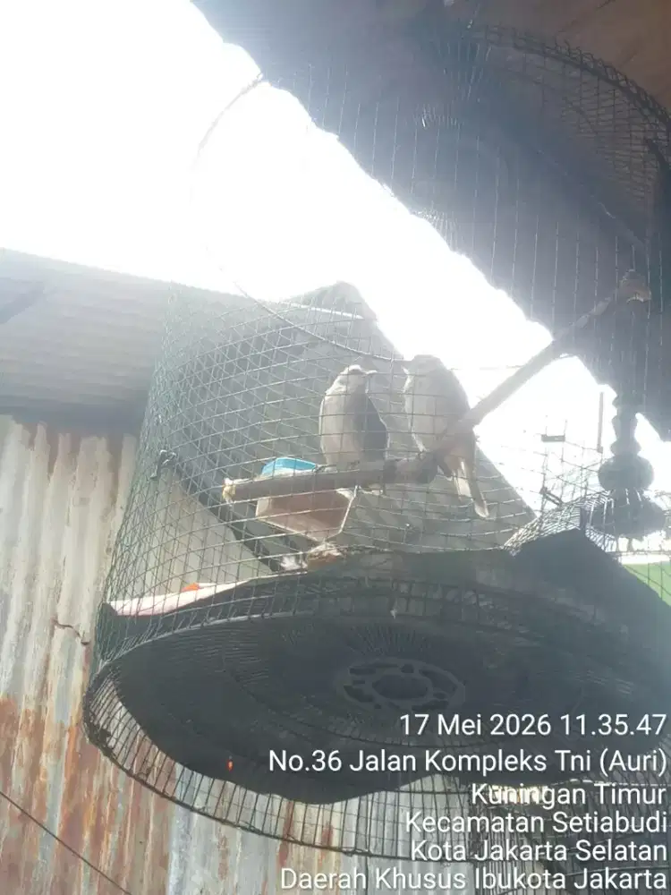 JUAL SANTAI SAMBIL NGOPI
