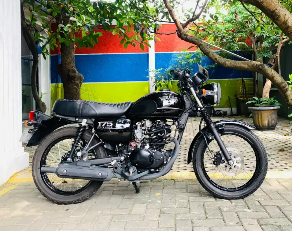 Kawasaki w175 se