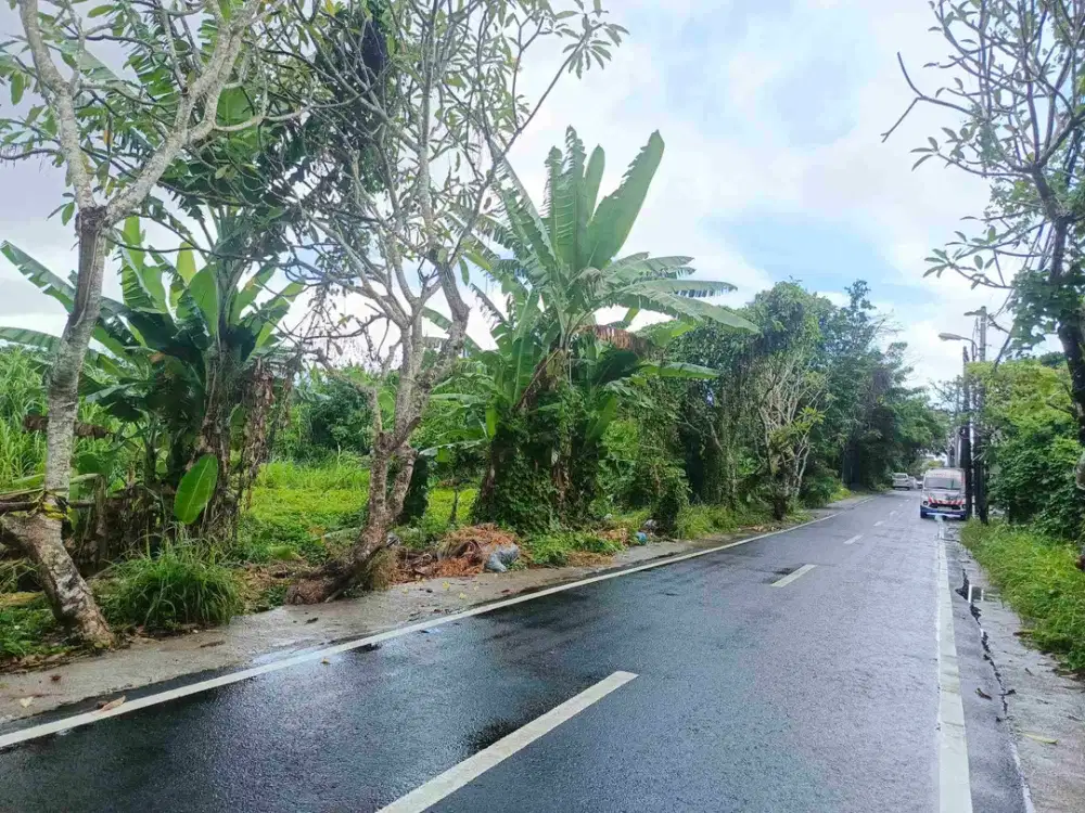 jl dewi madri renon denpasar!! 22 are di jual tanah termurah