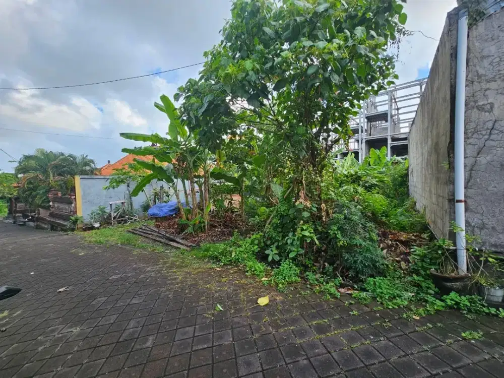 Tanah Berawa Canggu Badung Bali