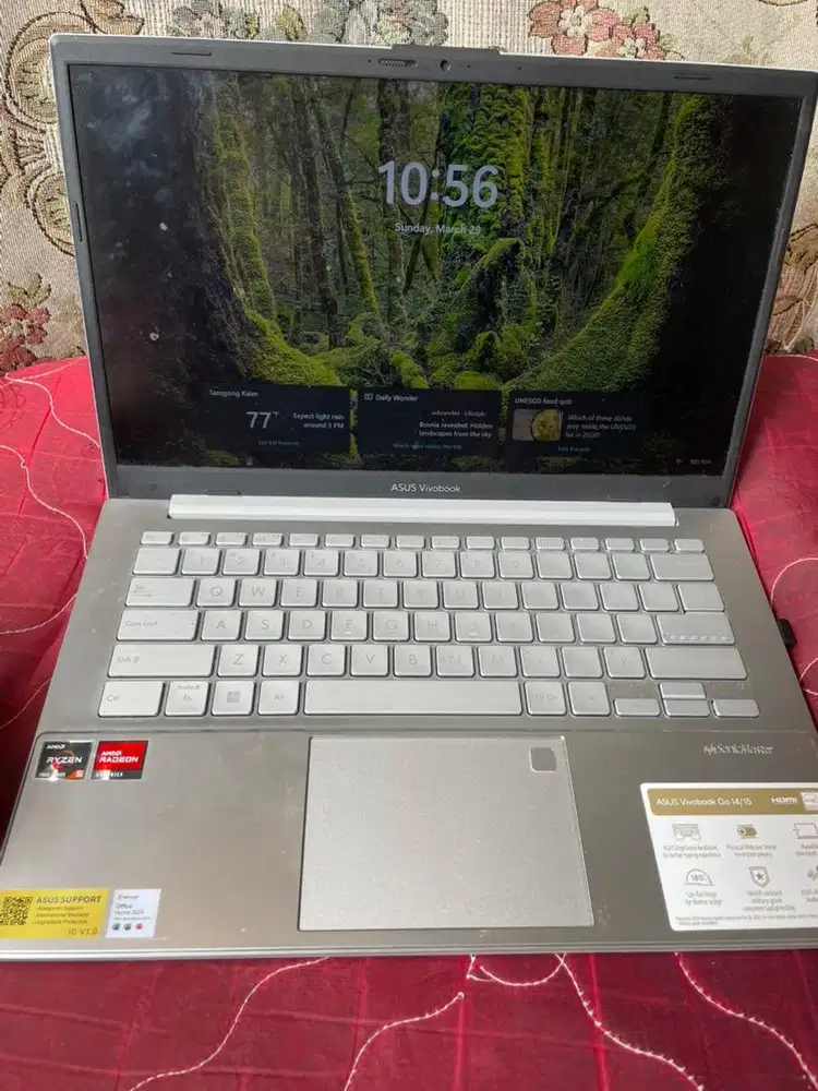 Asus Vivobook Go 14 Ryzen 5 RAM 16GB SSD 512GB