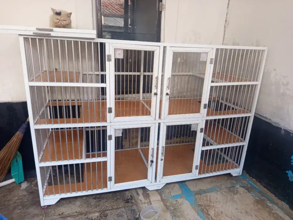 Kandang kucing lantai keramik