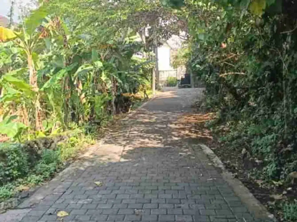tanah Sekar Sari Denpasar timur bali