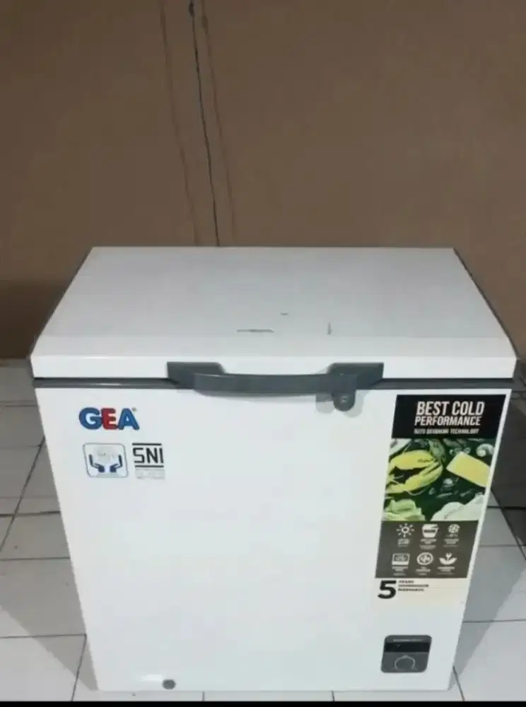 Freezer gea 210L