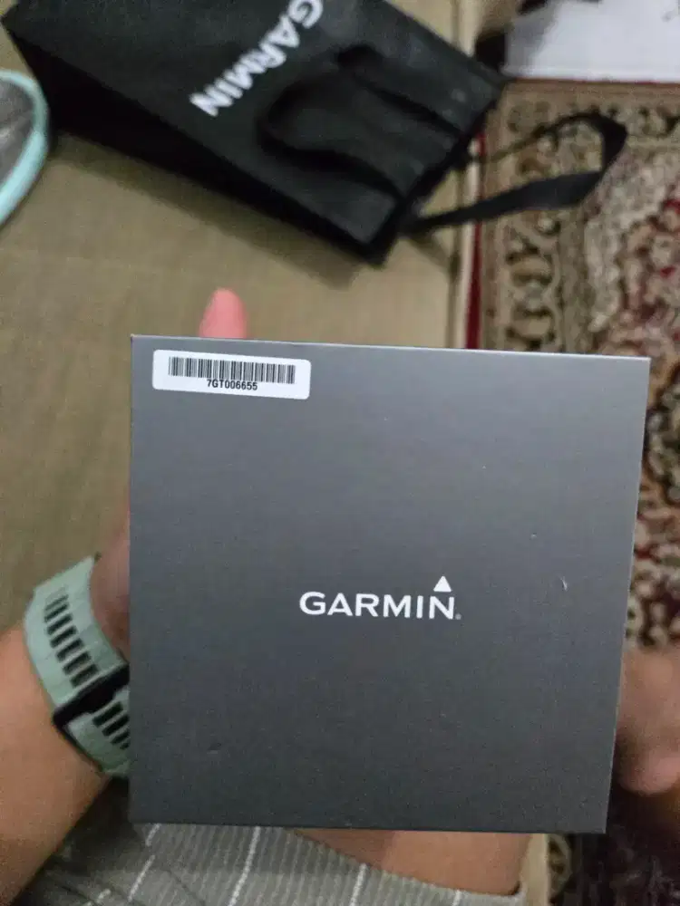 Garmin enduro solar
