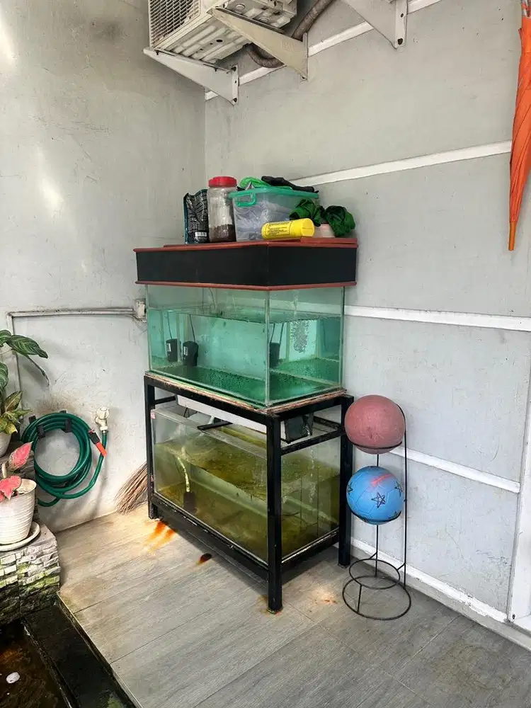 Satu set akuarium
