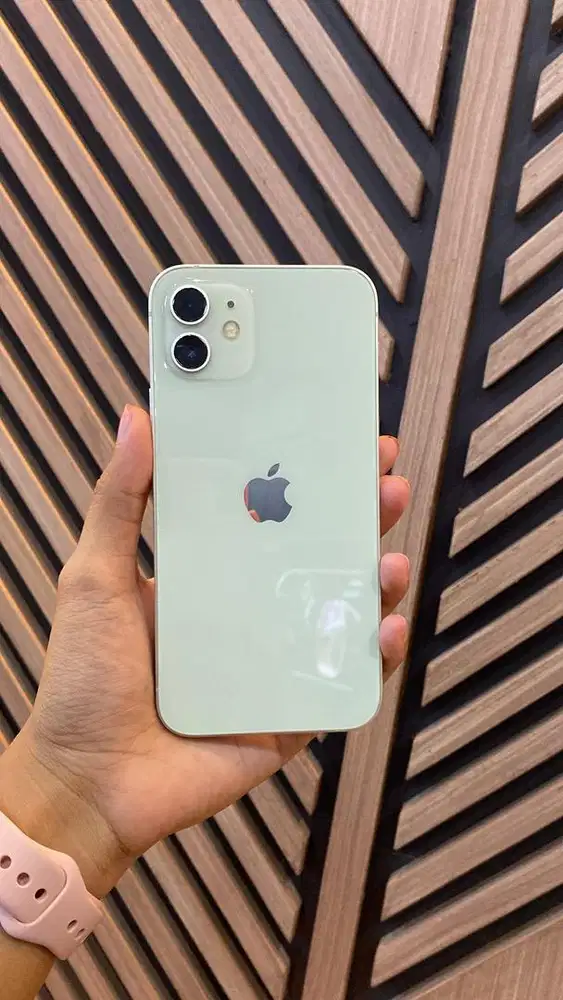 sec ip 12 128gb green