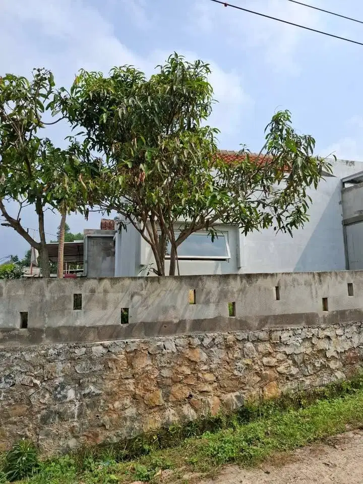 rumah murah model japan modern
