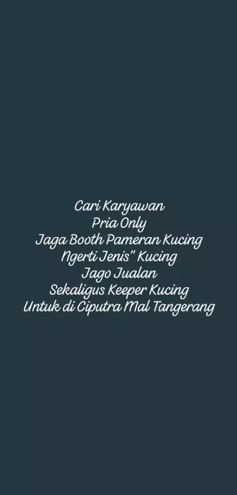 Jaga Booth Pameran Kucing
