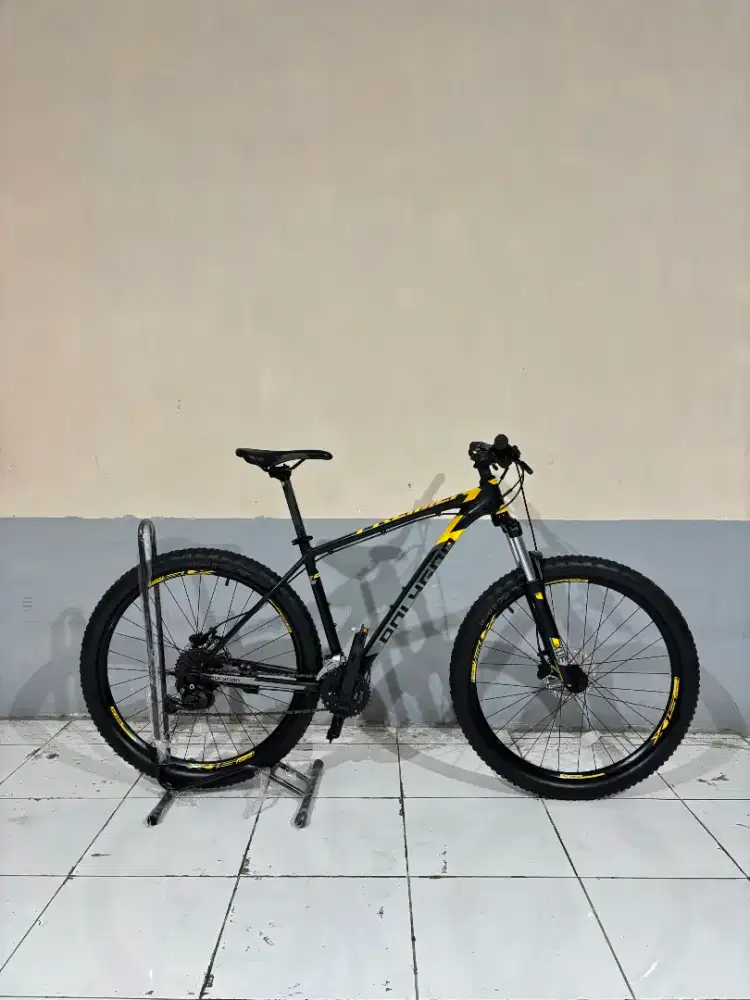 POLYGON PREMIER 5 TAHUN 2024