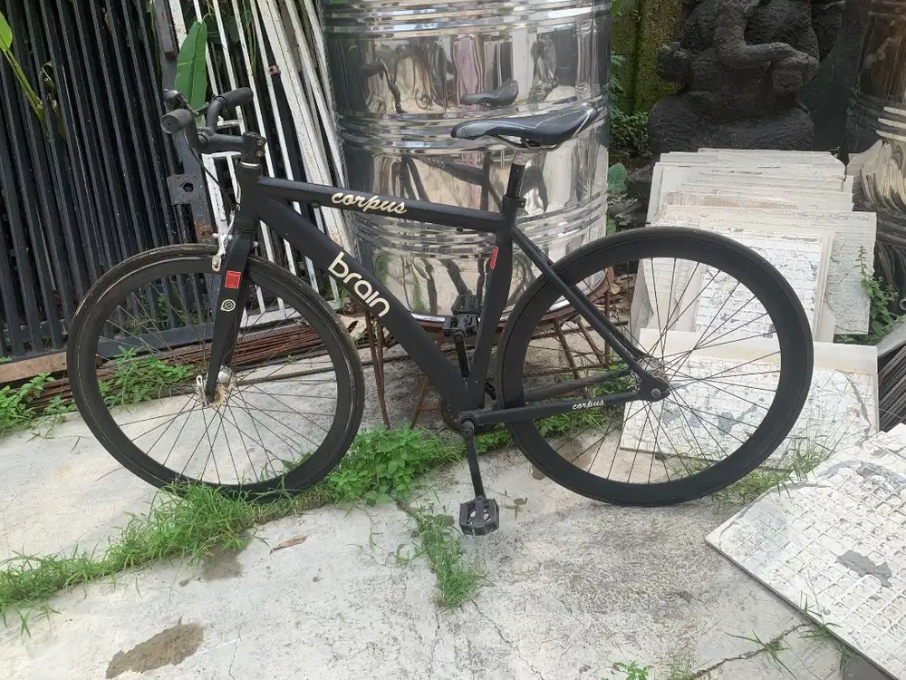 Sepeda Fixie brain corpus alloy