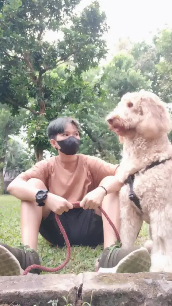 Saya wanita Mencari pekerjaan apa saja