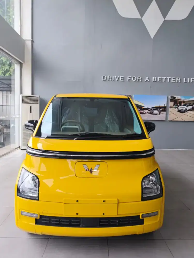 Air Ev Lite 300 2025