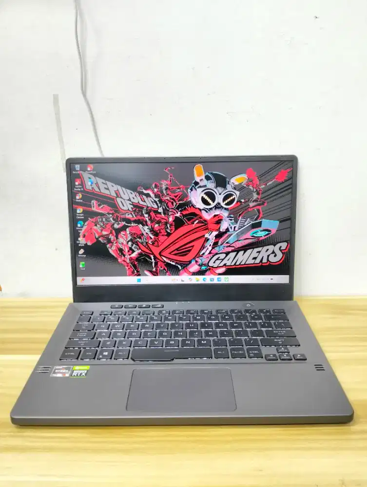 Asus ROG Zhepyrus G14 GA401QC AMD Ryzen 9 5900HS Ram 16GB SSDR 512GB