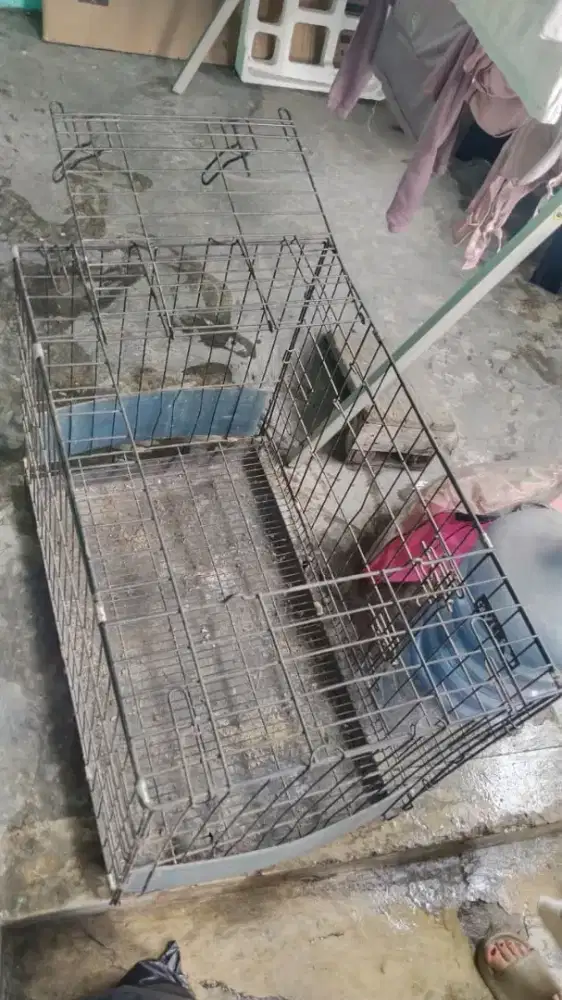 Jual Kandang Kucing