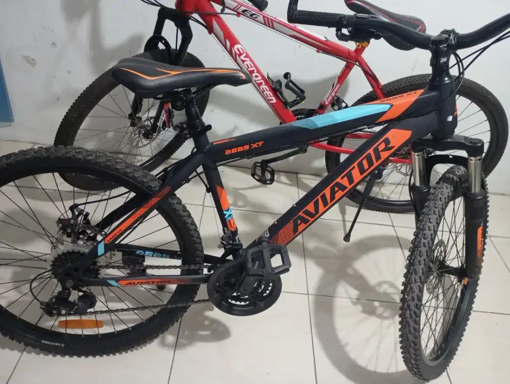 Sepeda MTB merk Aviator 2689 XT