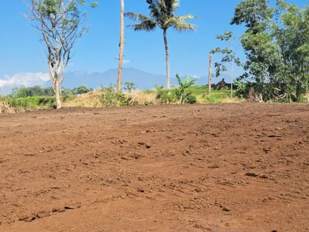Tanah cocok buat vila dataran tinggi Klampok Singosari View Pegunungan