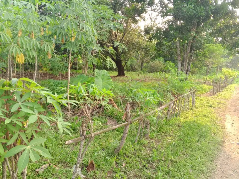 Jual/Sewa Tanah SHM 770m² Kalijati Subang–Legalitas Aman, Siap Bangun