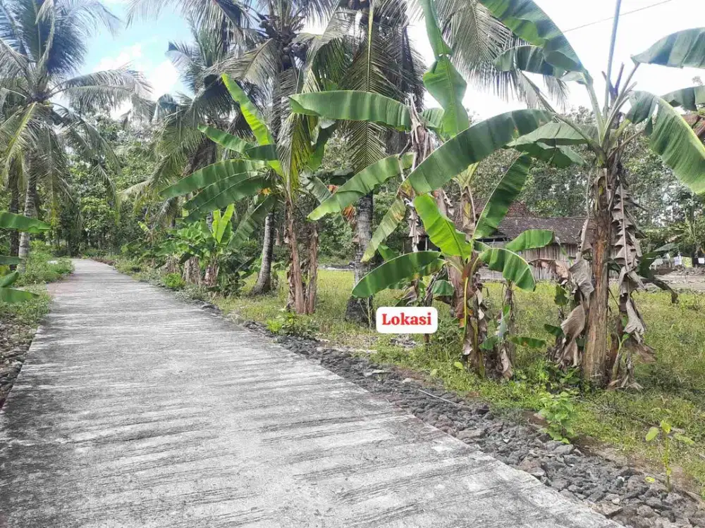 Tanah Murah  di Srikayangan , Sentolo kulon Progo