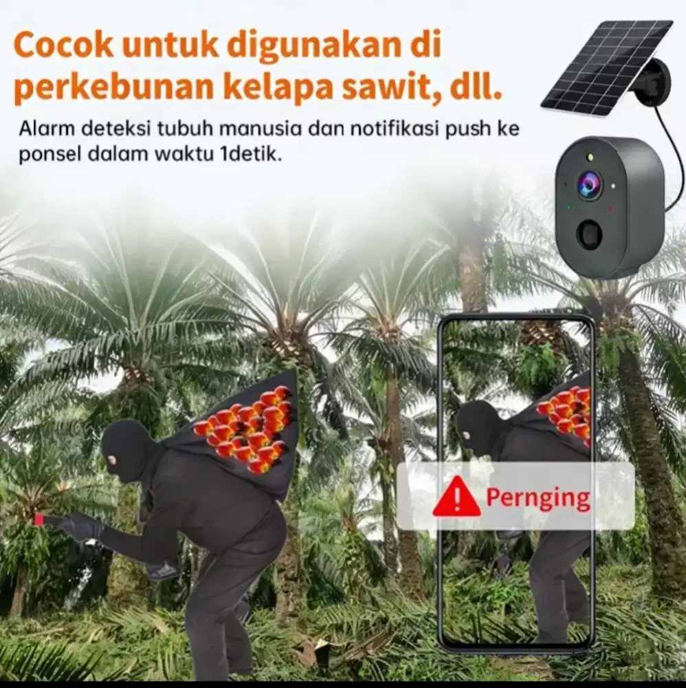 Kamera CCTV/Kebun
