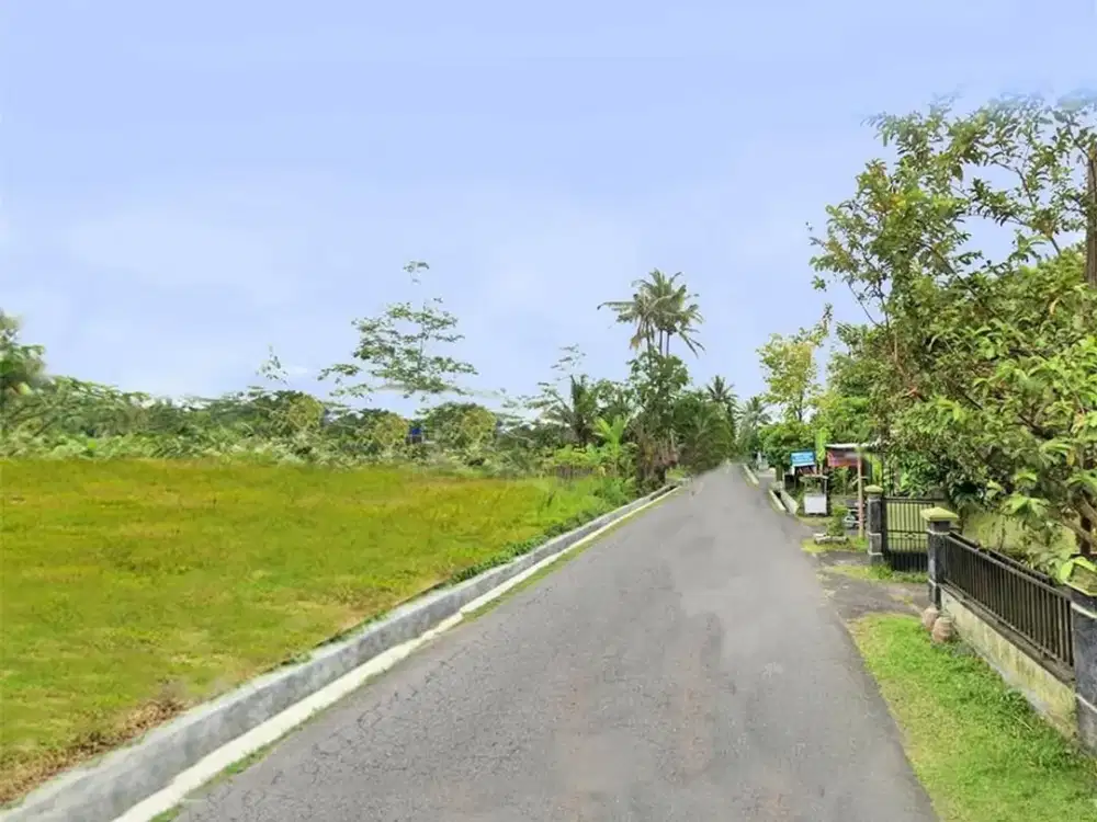 Jual Tanah Bagan Pete Kota Jambi Dekat Jalan As 1