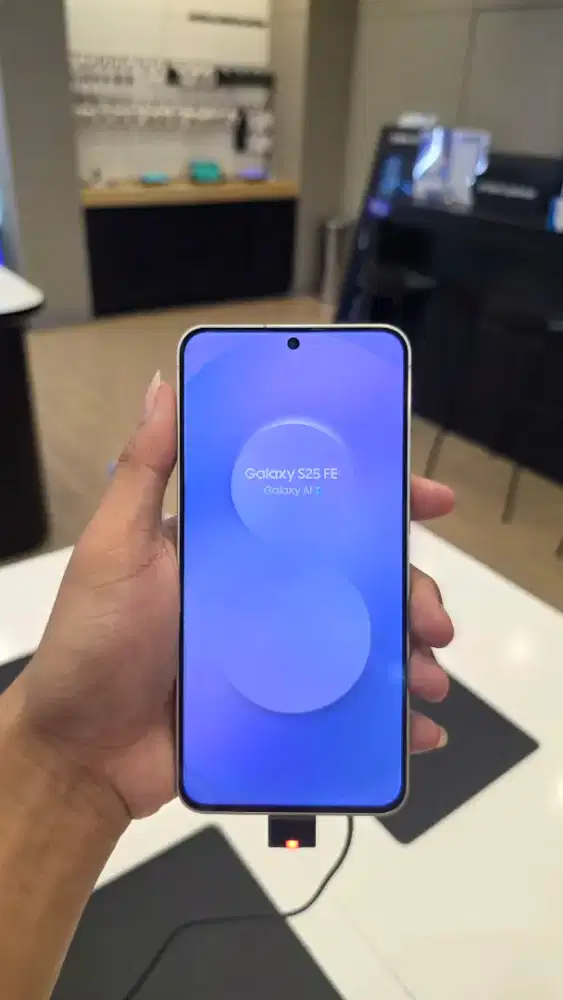 Samsung Galaxy S25 FE