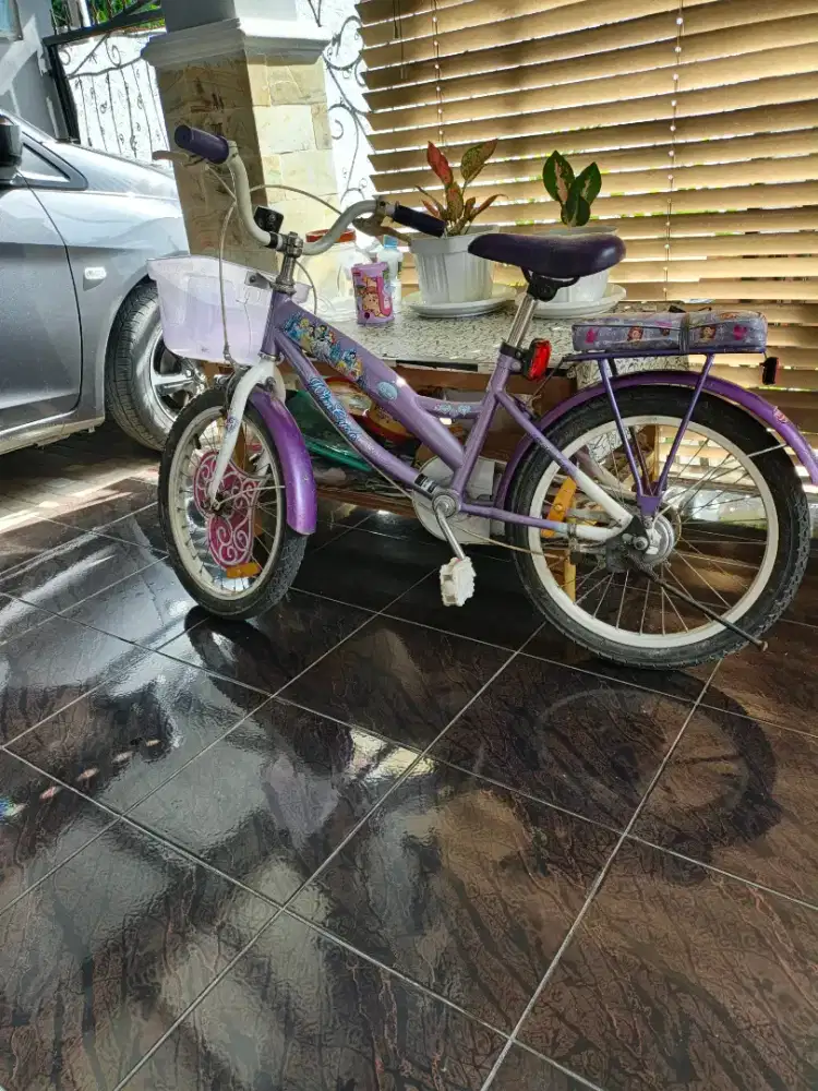 Sepeda anak anak jarang di pakai