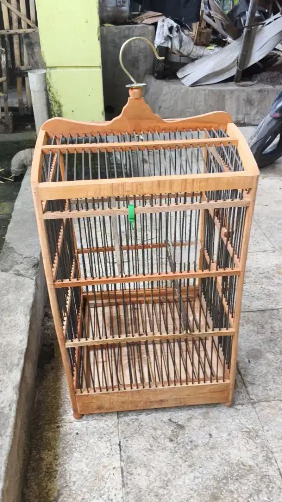 Kandang burung pemakaian hanya 1 minggu