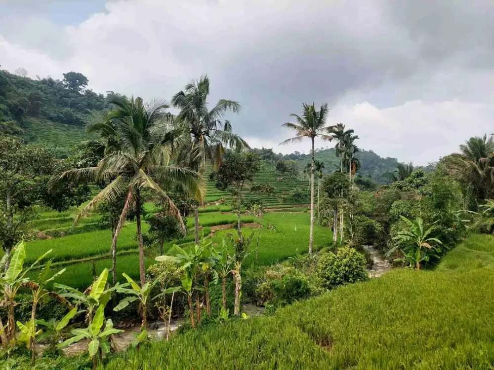 Tanah sawah view sangat bagus, ada sungai