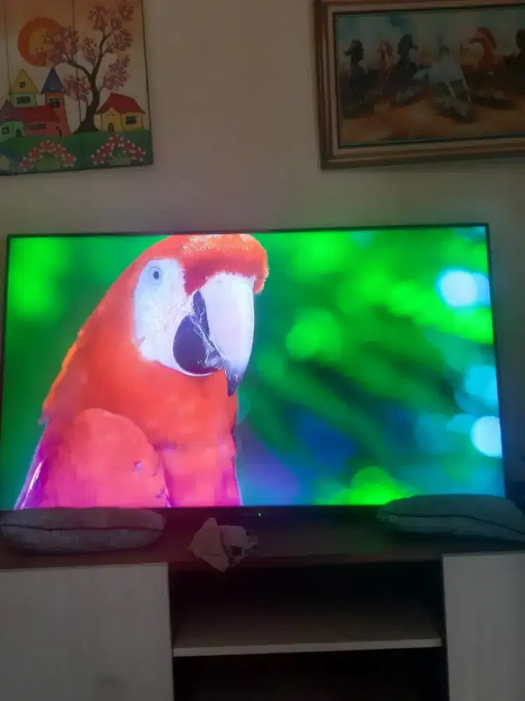Samsung 43in digital