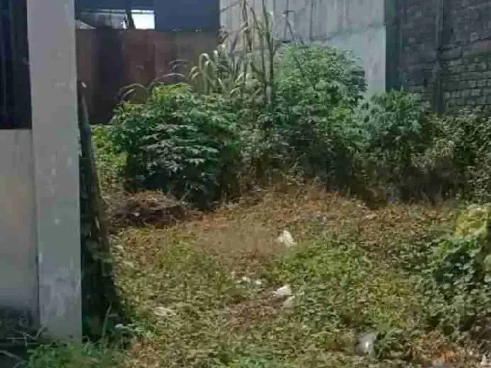 Tanah Murah siap Bangun di Medokan Sawah Timur, Rungkut, Sby Timur