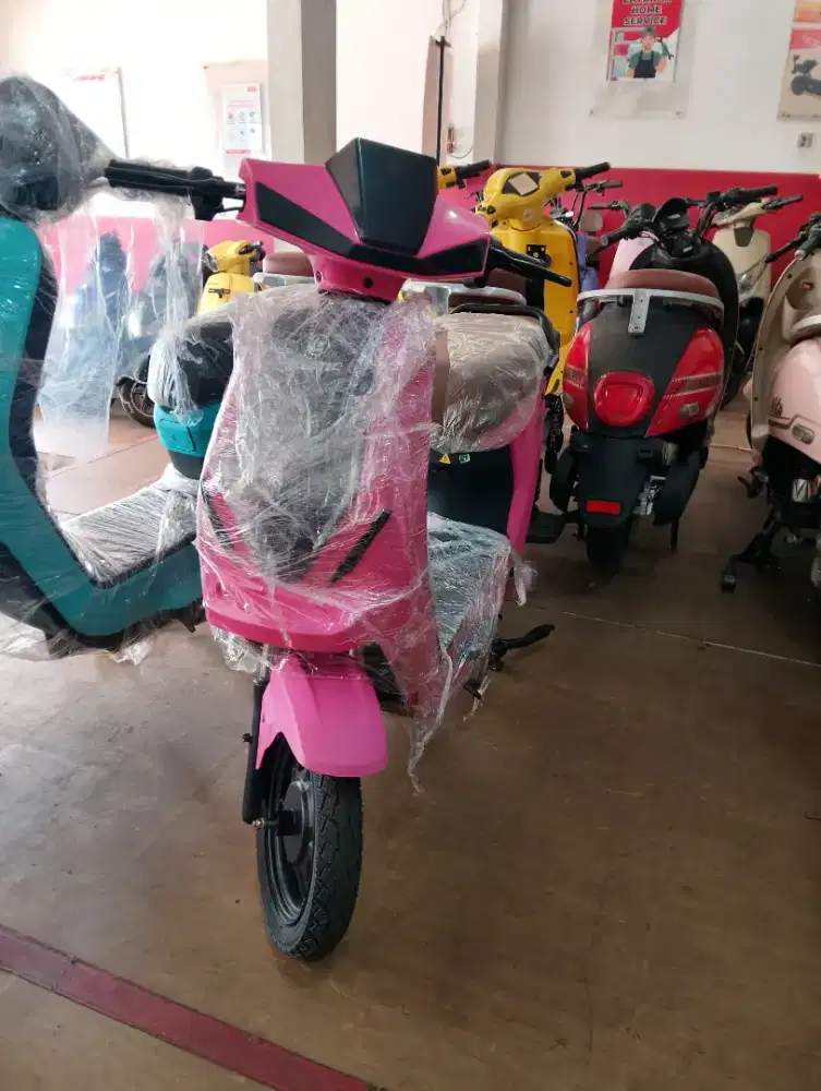 Sepeda Listrik X-665