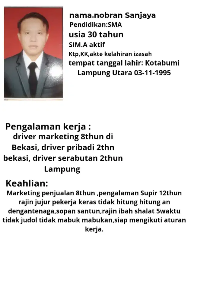 driver pribadi driver serabutan