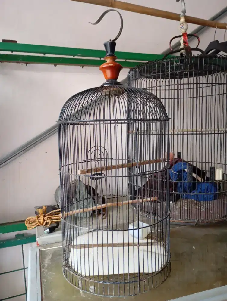 Kandang Lovebird & Kandang Kotak