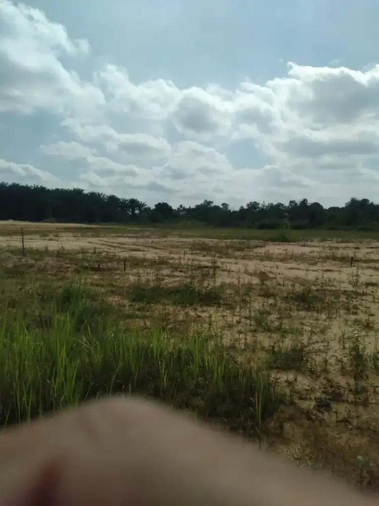 Dijual Tanah Kosong