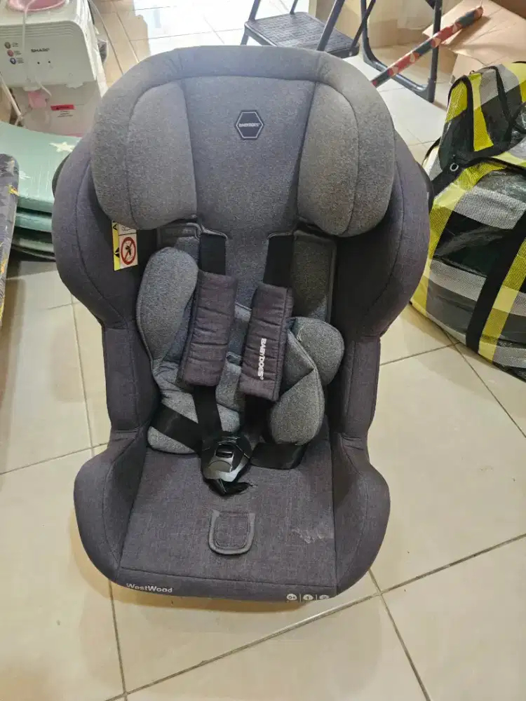 Carseat Babydoes Westwood