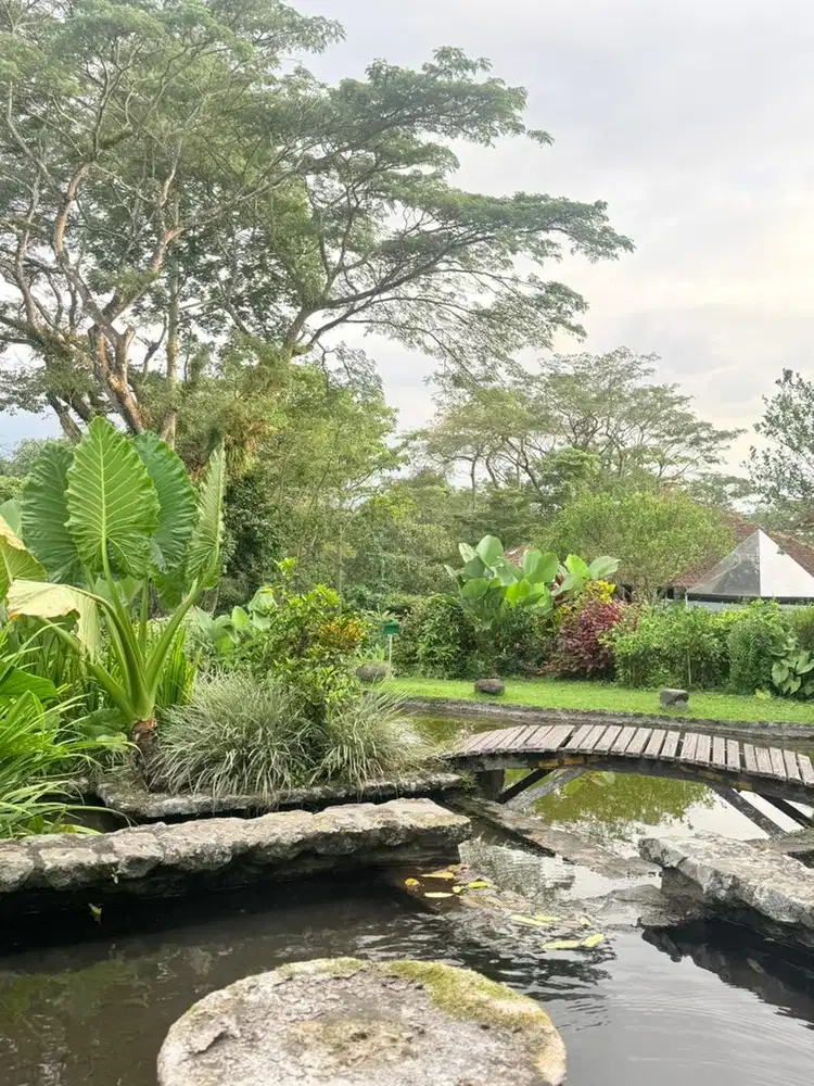 Dicari ART Rumah Tangga