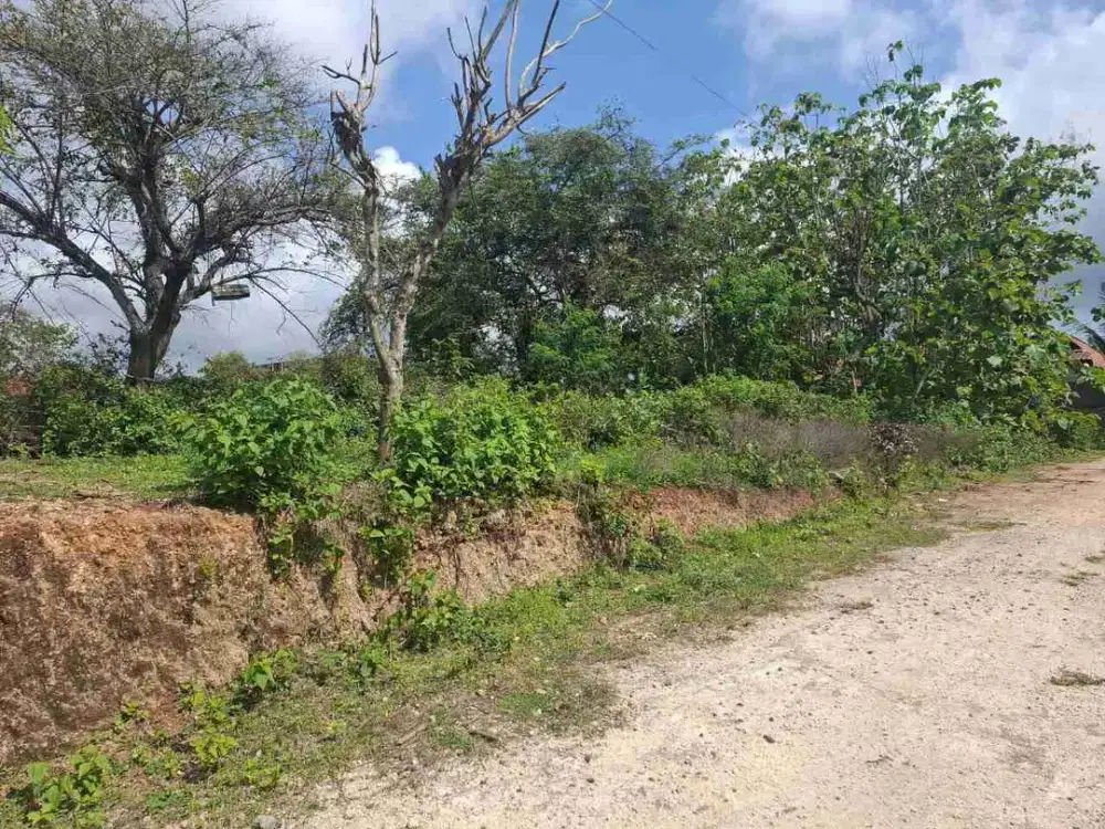 dijual tanah 820 m² IDR 450 juta per are  kawasan pantai pandawa kutuh badung bali