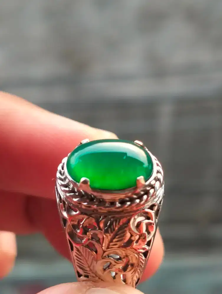 ISTIMEWA BACAN HALMAHERA Hijau Neon Hijau Botol