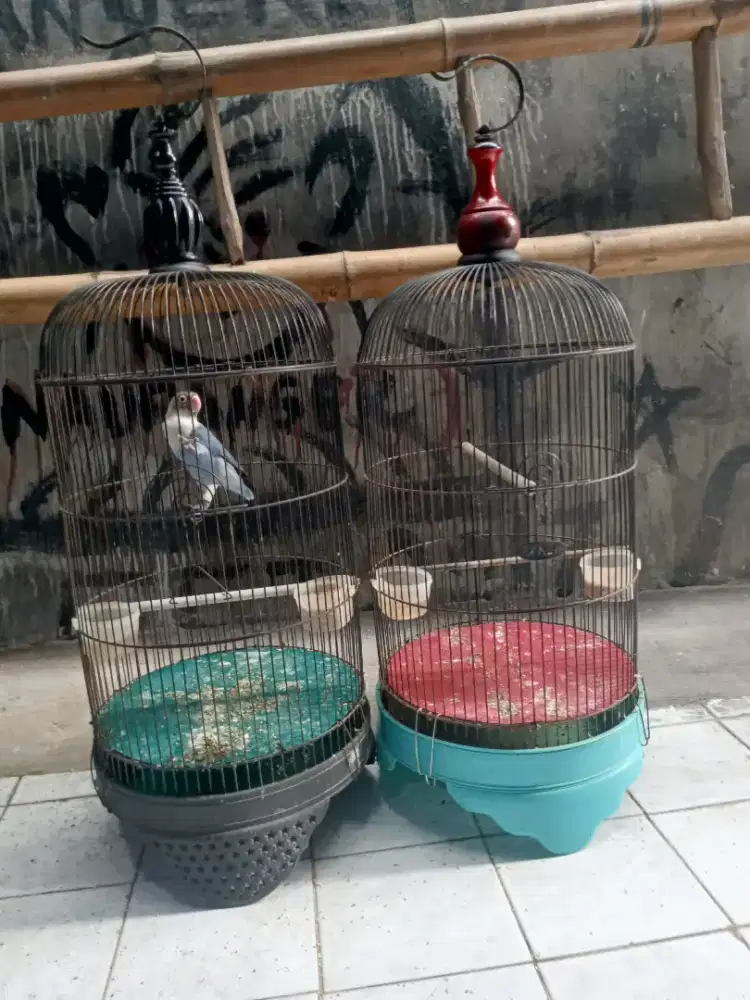 Sangakr lb dan bahan jahat